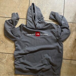 The North Face Men's Gray NSE Drawcord Pullover Hoodie Sweatshirt